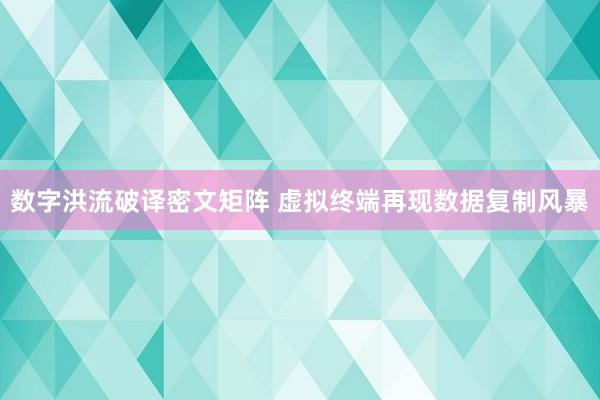 数字洪流破译密文矩阵 虚拟终端再现数据复制风暴