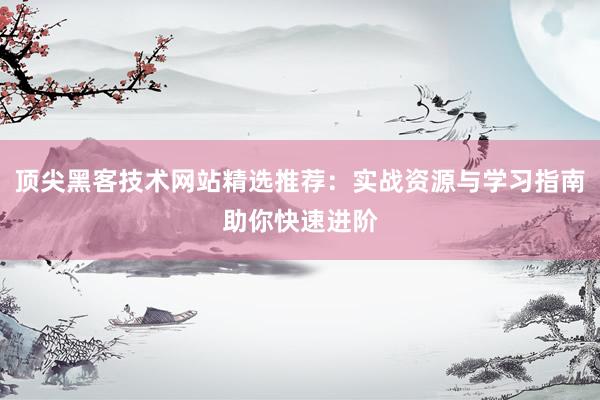 顶尖黑客技术网站精选推荐：实战资源与学习指南助你快速进阶